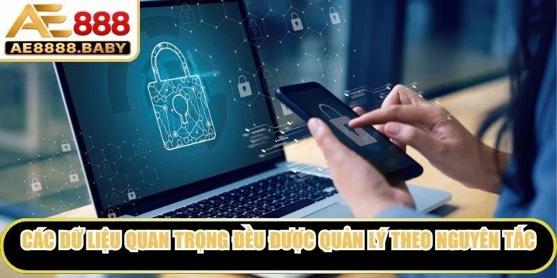 Các dữ liệu quan trọng đều được quản lý theo nguyên tắc bảo mật