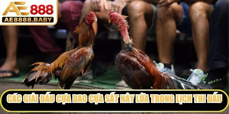 Các giải đấu cựa dao cựa sắt nảy lửa trong lịch thi đấu