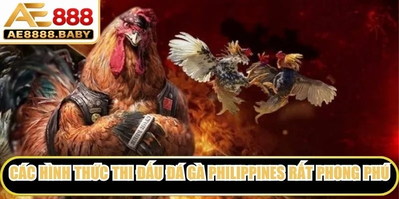 Các hình thức thi đấu đá gà Philippines rất phong phú, đa dạng