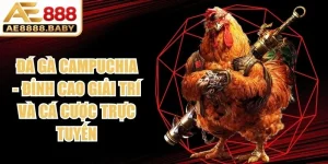 Đá Gà Campuchia