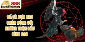 Đá Gà Cựa Dao