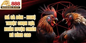 Đá Gà Đòn