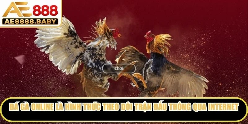 Đá gà online là hình thức theo dõi các trận đấu gà thông qua internet