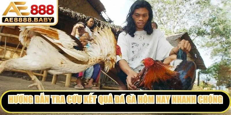 Hướng dẫn tra cứu kết quả đá gà hôm nay nhanh chóng nhất