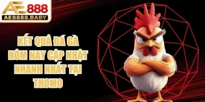 Kết Quả Đá Gà Hôm Nay