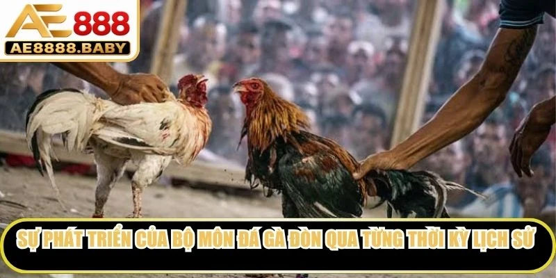 Sự phát triển của bộ môn đá gà đòn qua từng thời kỳ lịch sử 