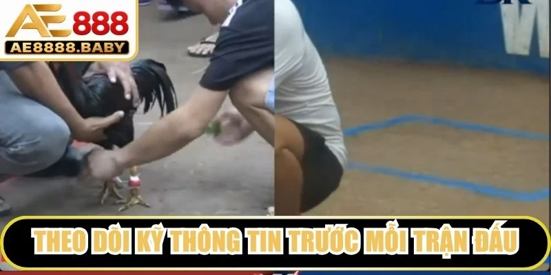 Theo dõi kỹ thông tin trước mỗi trận đấu để có trải nghiệm hiệu quả