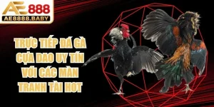 Trực Tiếp Đá Gà Cựa Dao