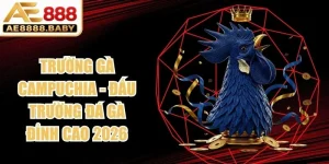 Trường Gà Campuchia