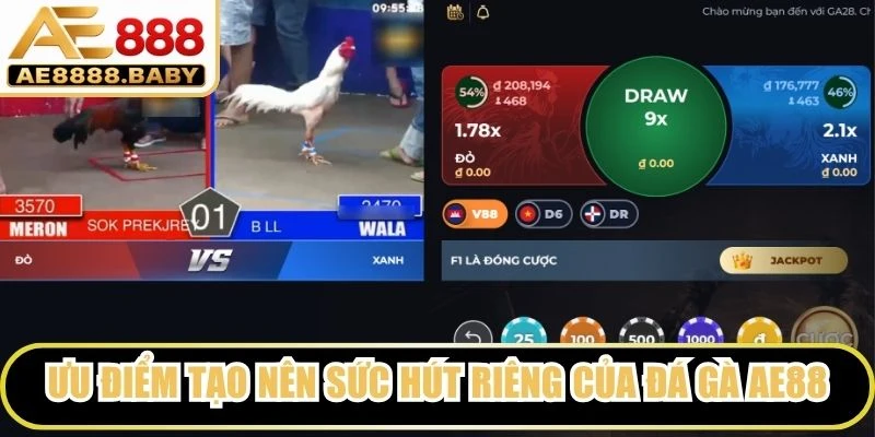Ưu điểm tạo nên sức hút riêng của đá gà AE88