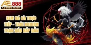 Xem Đá Gà Trực Tiếp
